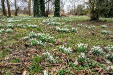 DSC_0016.JPG DSC_0016.JPG