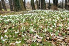 DSC_0131.JPG DSC_0131.JPG