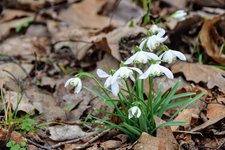 DSC_0117.JPG DSC_0117.JPG