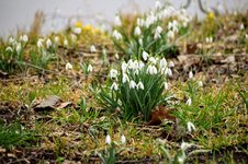 DSC_0123.JPG DSC_0123.JPG
