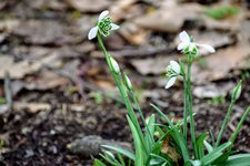 DSC_0112.JPG DSC_0112.JPG