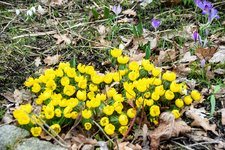 DSC_0281.JPG DSC_0281.JPG