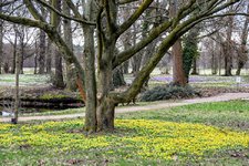 DSC_0010.JPG DSC_0010.JPG