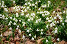 DSC_0302.JPG DSC_0302.JPG
