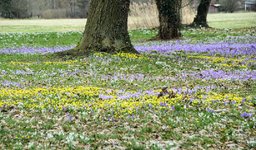 DSC_0333.JPG DSC_0333.JPG
