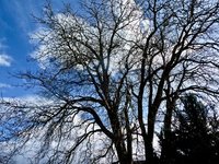 klein_ - 9 (46).jpg