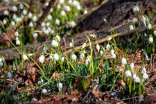 DSC_0111.JPG