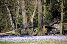 DSC_0176.JPG DSC_0176.JPG