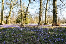 DSC_0080.JPG DSC_0080.JPG