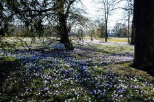 DSC_0141.JPG DSC_0141.JPG