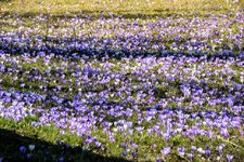 DSC_0172.JPG DSC_0172.JPG
