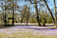 DSC_0164.JPG DSC_0164.JPG