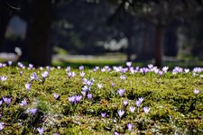 DSC_0099.JPG DSC_0099.JPG