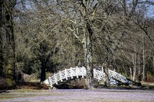 DSC_0060.JPG DSC_0060.JPG