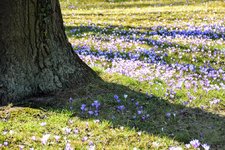 DSC_0169.JPG DSC_0169.JPG