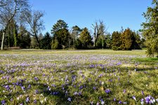 DSC_0058.JPG DSC_0058.JPG