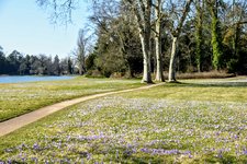 DSC_0059.JPG DSC_0059.JPG