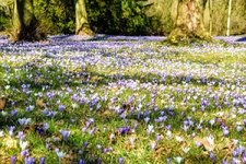 DSC_0069.JPG DSC_0069.JPG