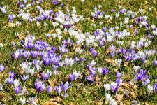 DSC_0043.JPG DSC_0043.JPG