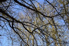 DSC_0109.JPG DSC_0109.JPG