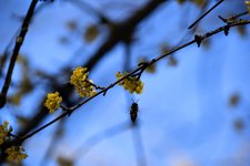 DSC_0126.JPG DSC_0126.JPG