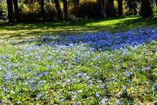 DSC_0123.JPG DSC_0123.JPG