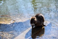 DSC_0316.JPG DSC_0316.JPG