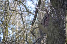 DSC_0038.JPG