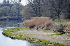 DSC_0418.JPG DSC_0418.JPG