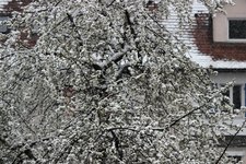 IMG_3968 Größe M.JPG
