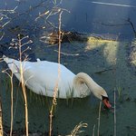 IMG_4532.JPG