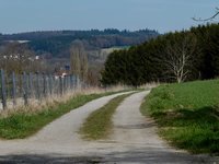 klein_ - 12 (39).jpg