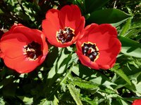 klein_ - 3 (88).jpg