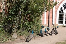 DSC_0215.JPG DSC_0215.JPG