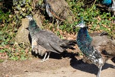 DSC_0224.JPG DSC_0224.JPG