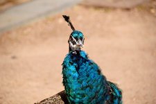 DSC_0274.JPG DSC_0274.JPG