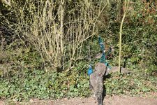 DSC_0218.JPG DSC_0218.JPG