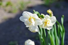 DSC_0014.JPG