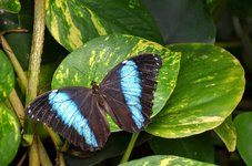 DSC_0291.JPG