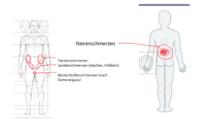 Schmerzen-Nieren.png Schmerzen-Nieren.png