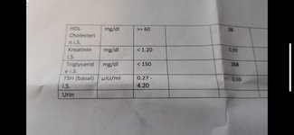 Abbildung 2.2 HA T 05.04.2022.jpg