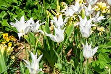 DSC_0021.JPG