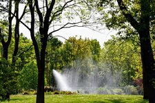 DSC_0016.JPG