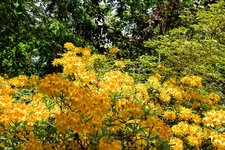 DSC_0229.JPG DSC_0229.JPG