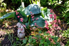 DSC_0068.JPG DSC_0068.JPG