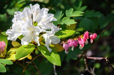 DSC_0072.JPG DSC_0072.JPG