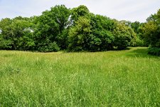 DSC_0066.JPG DSC_0066.JPG