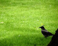 DSC_0227.JPG DSC_0227.JPG