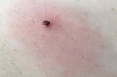 IMG_6581 (1).jpg IMG_6581 (1).jpg