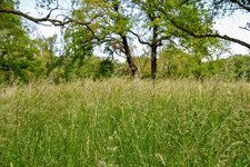 DSC_0104.JPG DSC_0104.JPG